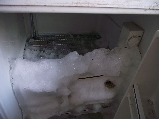 Seed Archive Freezer with ice jam